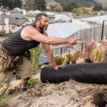Site preparation for weed cloth and shrub planting