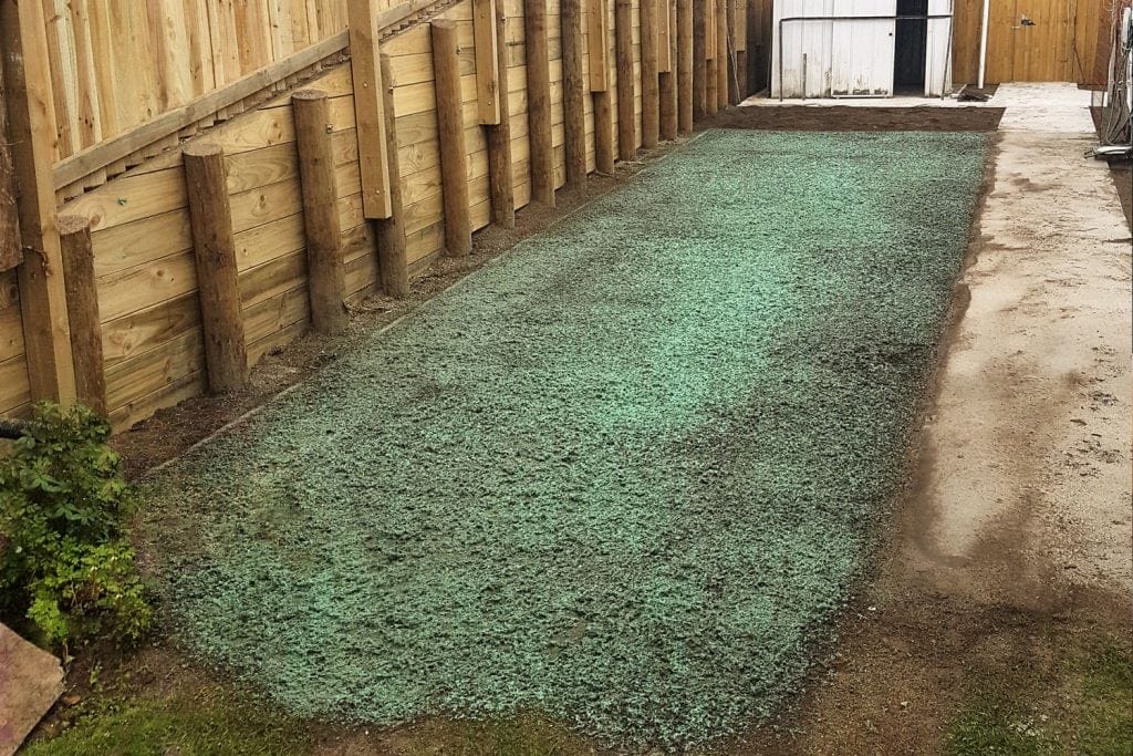 Hydro-seeded lawn after planting hydro seeding lawn
